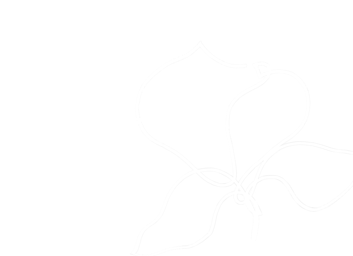 Bloom Logo Background