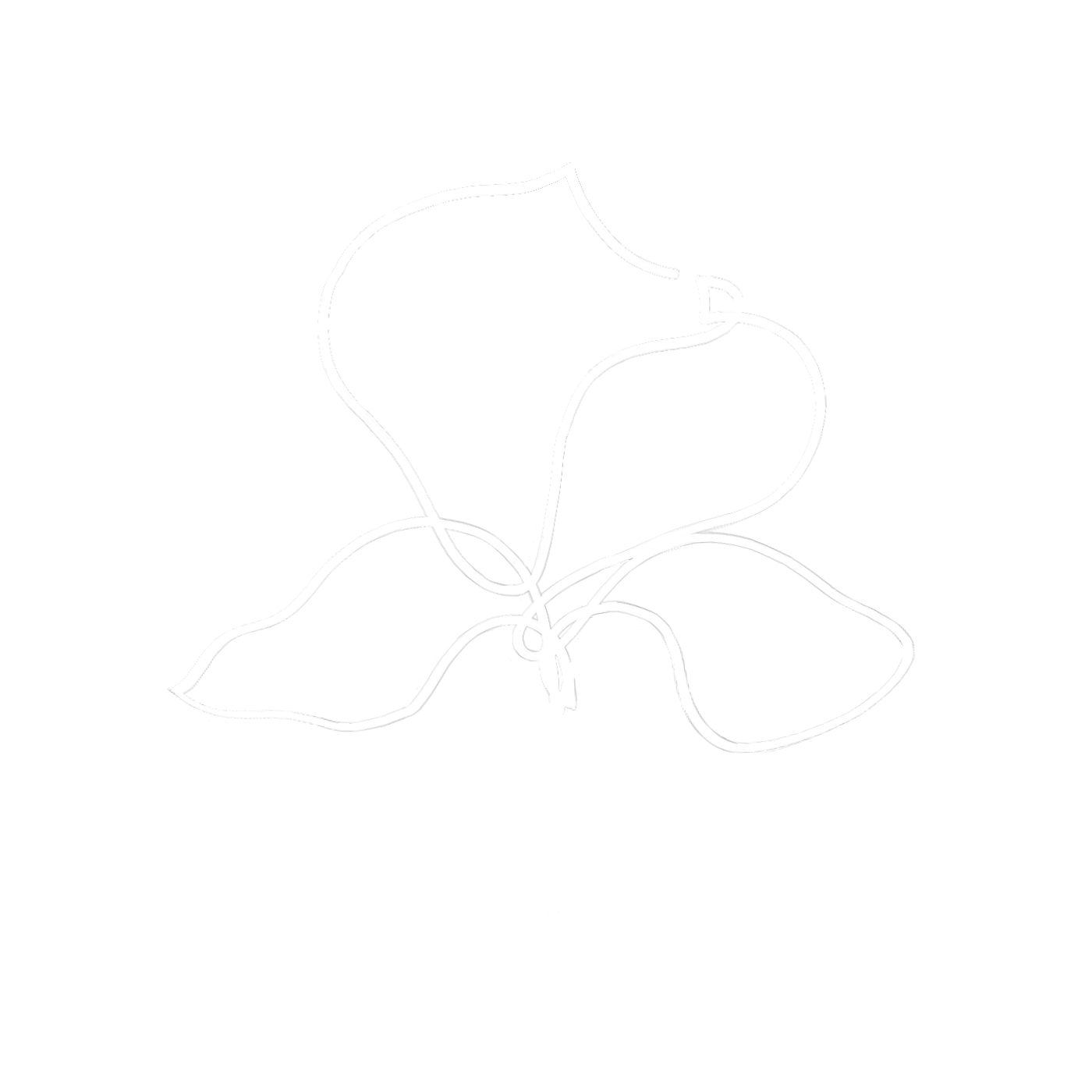 Bloom Logo